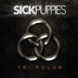 Cover Sick Puppies - You're Going Down