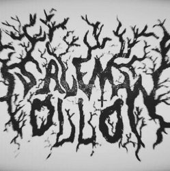 Cover Salem - Hollow