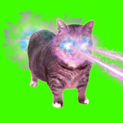 Cover XertXetin - OIIA OIIA COSMIC Spinning CAT
