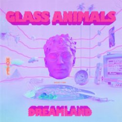 Cover Glass Animals - Heat Waves