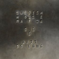 Cover Swedish House Mafia - Wait So Long
