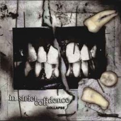 Cover In Strict Confidence - Die Sieben Siegel