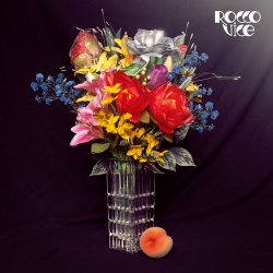 Cover Rocco Vice - Der Mond