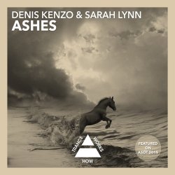 Cover Denis Kenzo & Sarah Lynn - Ashes