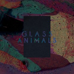 Cover Glass Animals - Exxus