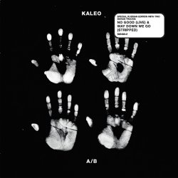 Cover Kaleo - Way Down We Go