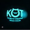Cover Кот - Почему молчат твои глаза (Bordack Remix) Кот - Почему молчат твои глаза (Bordack Remix)