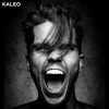 Cover Kaleo - I Want More Kaleo - I Want More