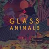 Cover Glass Animals - Pools Glass Animals - Pools