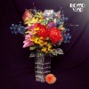 Cover Rocco Vice - Eiskrem Rocco Vice - Eiskrem