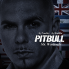 Cover Pitbull - Alright Intro Pitbull - Alright Intro