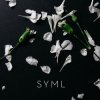 Cover SYML - Meant to Stay Hid SYML - Meant to Stay Hid