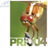 Cover R-Tem - Voiceless (Z05 Mix) R-Tem - Voiceless (Z05 Mix)