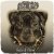 Cover Dogg Master - Let Your Body Move