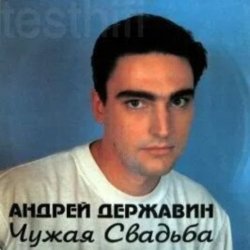 Cover Андрей Державин - Чужая свадьба