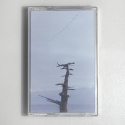Cover Buttechno - 808 ambient pieces