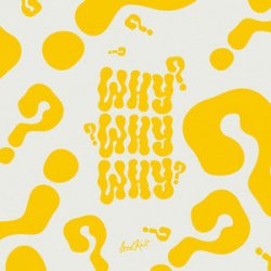 Cover Tanaka & Lucas Estrada - WHY?
