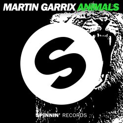 Cover Martin Garrix - Animals (Original Mix)
