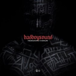 Cover HEDEGAARD & Sanjin - badboysound