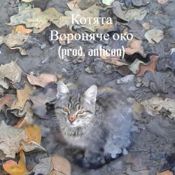 Cover Вороняче око - котята (prod. anticøn)