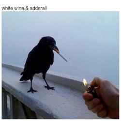 Cover The Chainsmokers & Beau Nox - White Wine & Adderall
