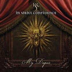 Cover In Strict Confidence - Constant Flow