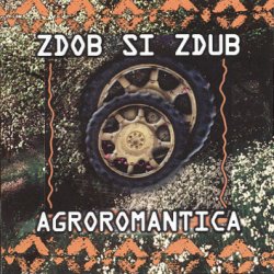 Cover Zdob și Zdub - Doina haiducului