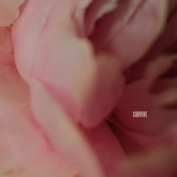 Cover Lewis Capaldi - Survive