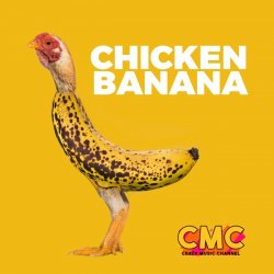 Cover Crazy Music Channel - Chicken Banana