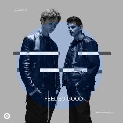 Cover Lucas & Steve - Feel So Good