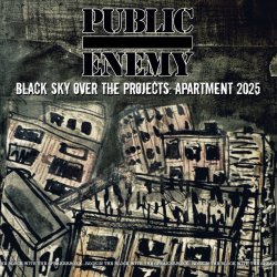 Cover Public Enemy - Cmon Get Down