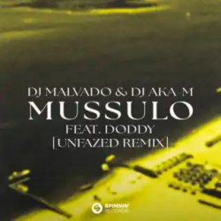 Cover DJ Malvado & DJ Aka-m & Doddy - Mussulo (unfazed Remix)