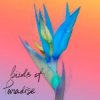 Cover From:Ksusha & Yongue - Birds Of Paradise From:Ksusha & Yongue - Birds Of Paradise