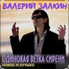 Cover Валерий Залкин - Одинокая ветка сирени Валерий Залкин - Одинокая ветка сирени