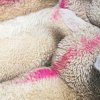 Cover Blawan - Done Eclipse (Mixed) Blawan - Done Eclipse (Mixed)