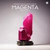 Cover Giuseppe Ottaviani & Ferry Corsten - Magenta (Fisherman Extended Remix) Giuseppe Ottaviani & Ferry Corsten - Magenta (Fisherman Extended Remix)