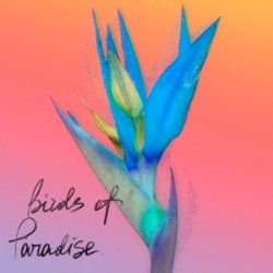 Cover From:Ksusha & Yongue - Birds Of Paradise