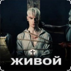 Cover Shaman - Живой