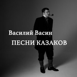 Cover Вася Васин - Дело было под Полтавой