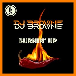 Cover DJ Brownie - Burnin Up