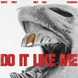 Cover White Pony & Riko Dan & Flowdan - Do It LIke Me (VIP)