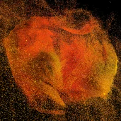 Cover Deco (BE) - Sehni