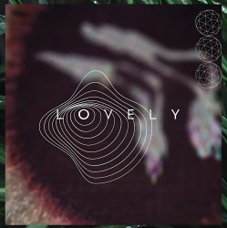 Cover Slowsly - Black Bird (Original Mix)