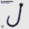 Cover FISHER & bbyclose - Blackberries (Extended Mix) FISHER & bbyclose - Blackberries (Extended Mix)