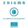 Cover ENIGMA - Je T'aime Till My Dying Day (NJ Remix) ENIGMA - Je T'aime Till My Dying Day (NJ Remix)