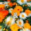 Cover Ekko & Sidetrack - Peace of Mind Ekko & Sidetrack - Peace of Mind