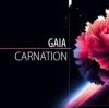 Cover Gaia - Carnation Gaia - Carnation