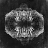 Cover Owl Vision - Draug Owl Vision - Draug