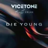 Cover Vicetone & Tsunami J. & ERLAX - Die Young (Club Mix) Vicetone & Tsunami J. & ERLAX - Die Young (Club Mix)