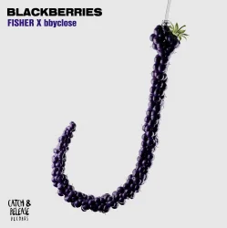 Cover FISHER & bbyclose - Blackberries (Extended Mix)